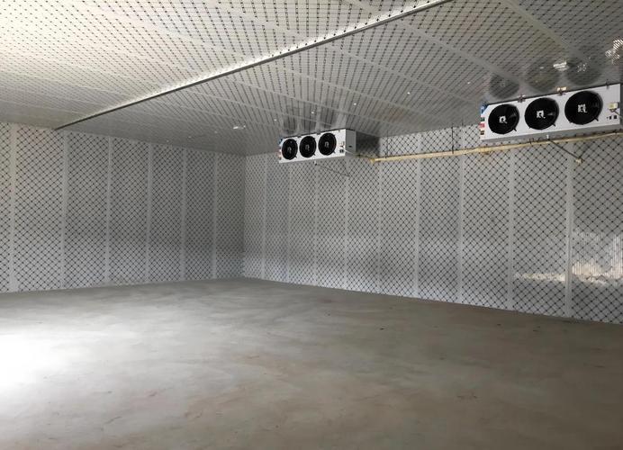 一间冷库，藏着生活的温度与生机