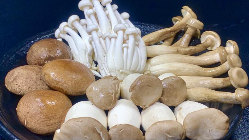 长沙菌菇冷库保鲜方式及建造温度